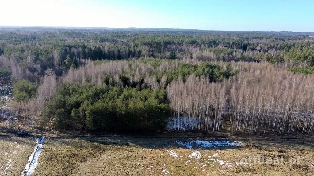 Działka Leśna 2,35 ha Grzegorze gm Orzysz