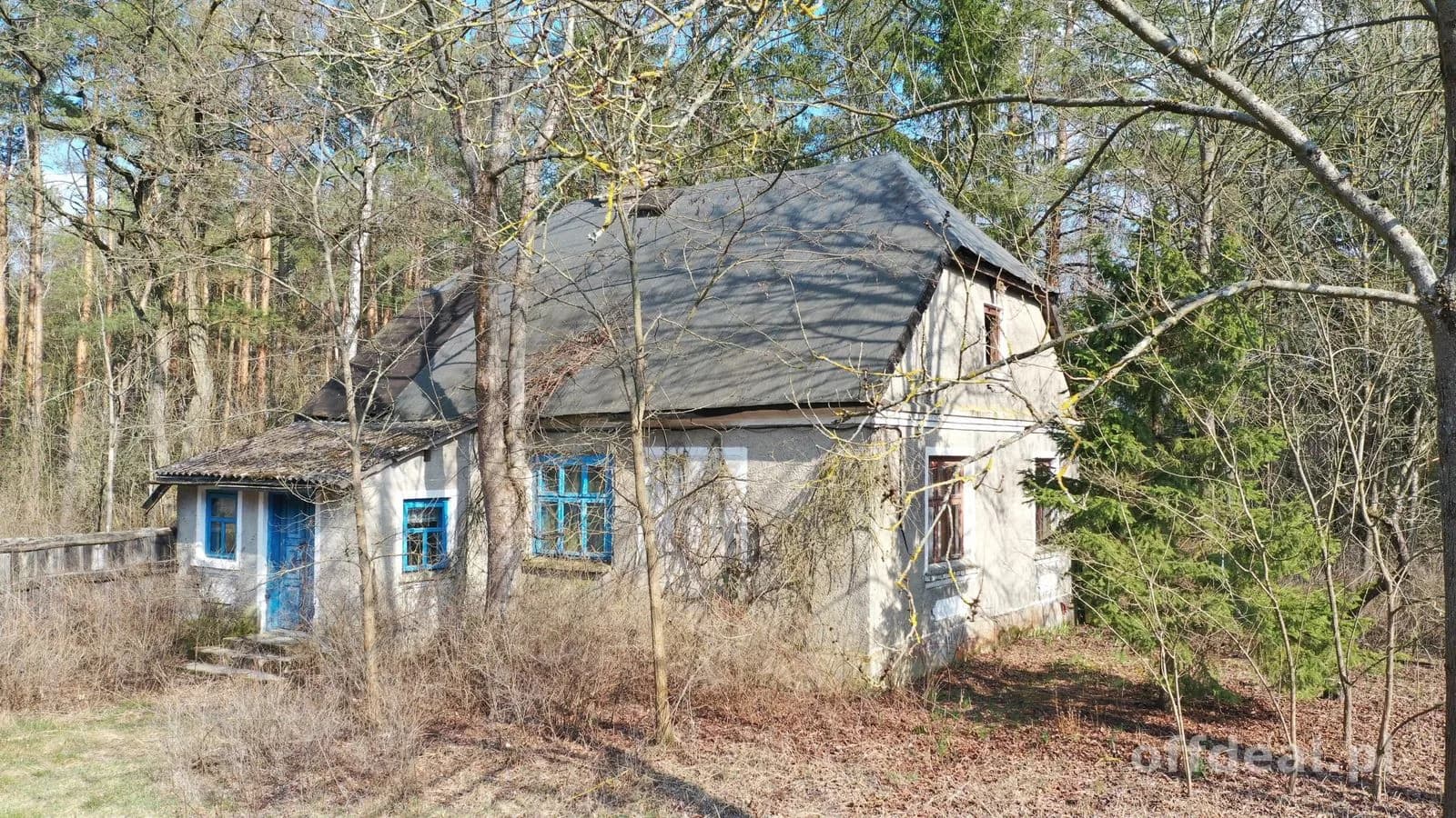 Klimatyczne siedlisko z własnym lasem