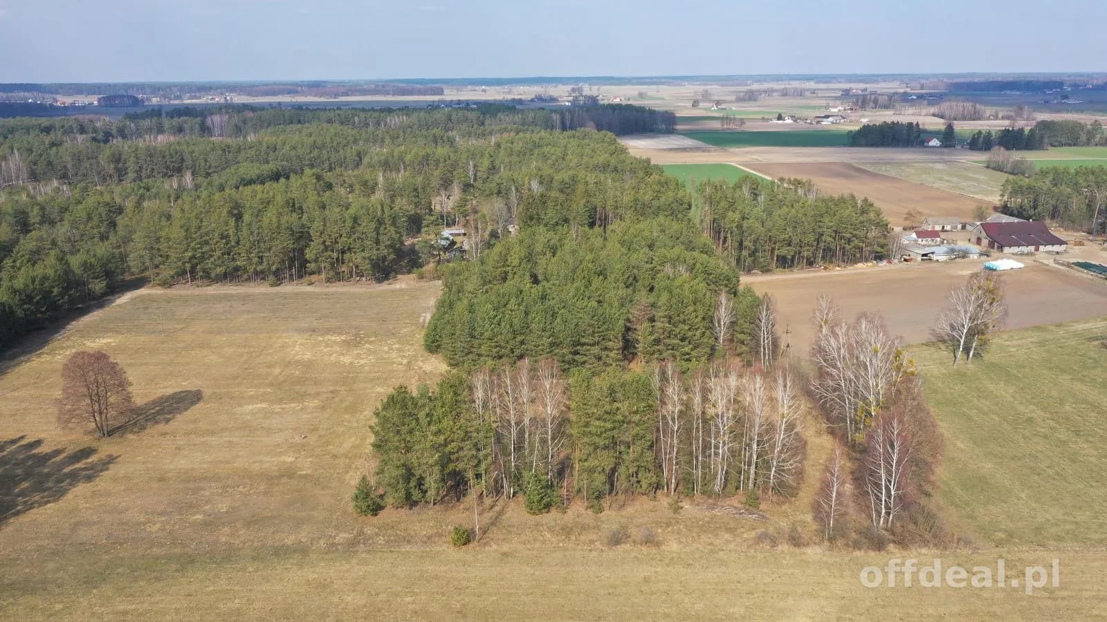 Klimatyczne siedlisko z własnym lasem