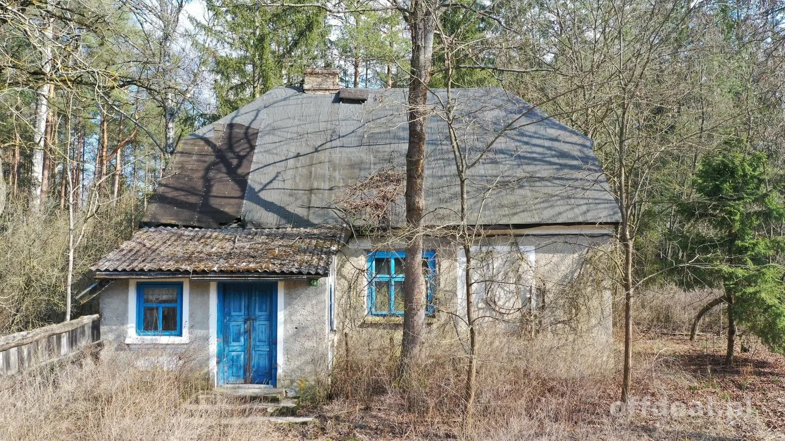 Klimatyczne siedlisko z własnym lasem