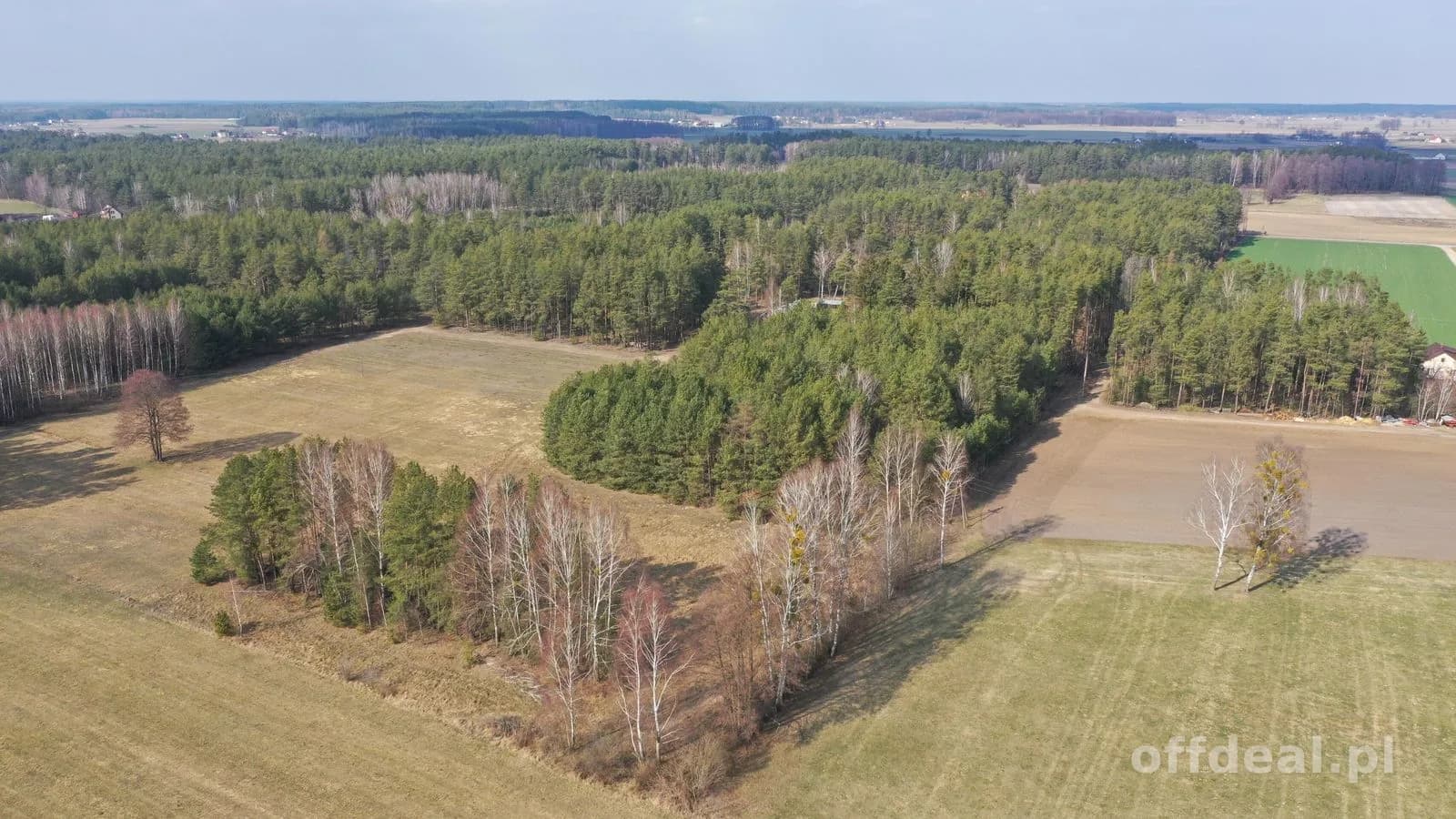 Klimatyczne siedlisko z własnym lasem