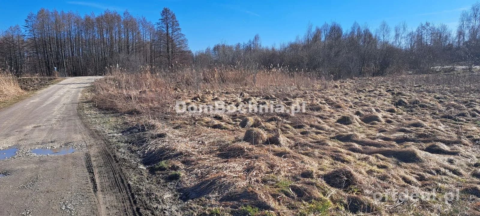 Działka przemysłowa Borek gmina Rzezawa