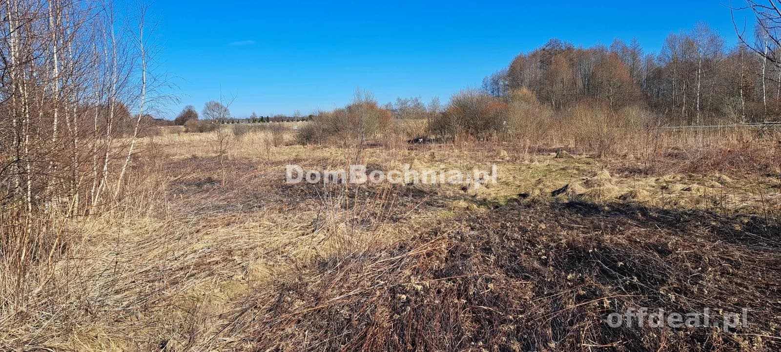 Działka przemysłowa Borek gmina Rzezawa