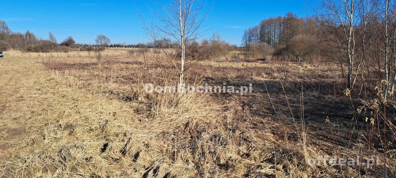 Działka przemysłowa Borek gmina Rzezawa