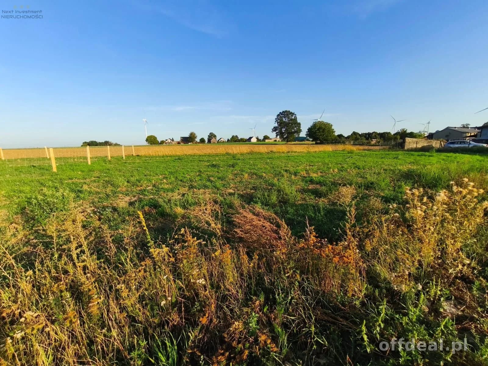 Zdjęcie 6: Działka, 874 m², Radonia