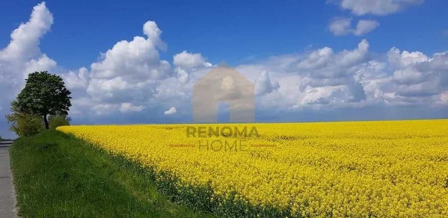 terrain à vendre à Nowa Ruda | 4 403 m²