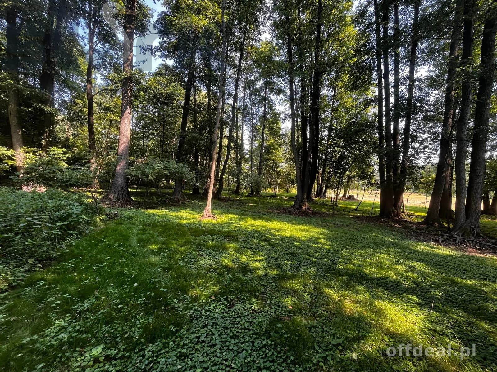 ділянка на продаж у Polesie | 9 400 m²