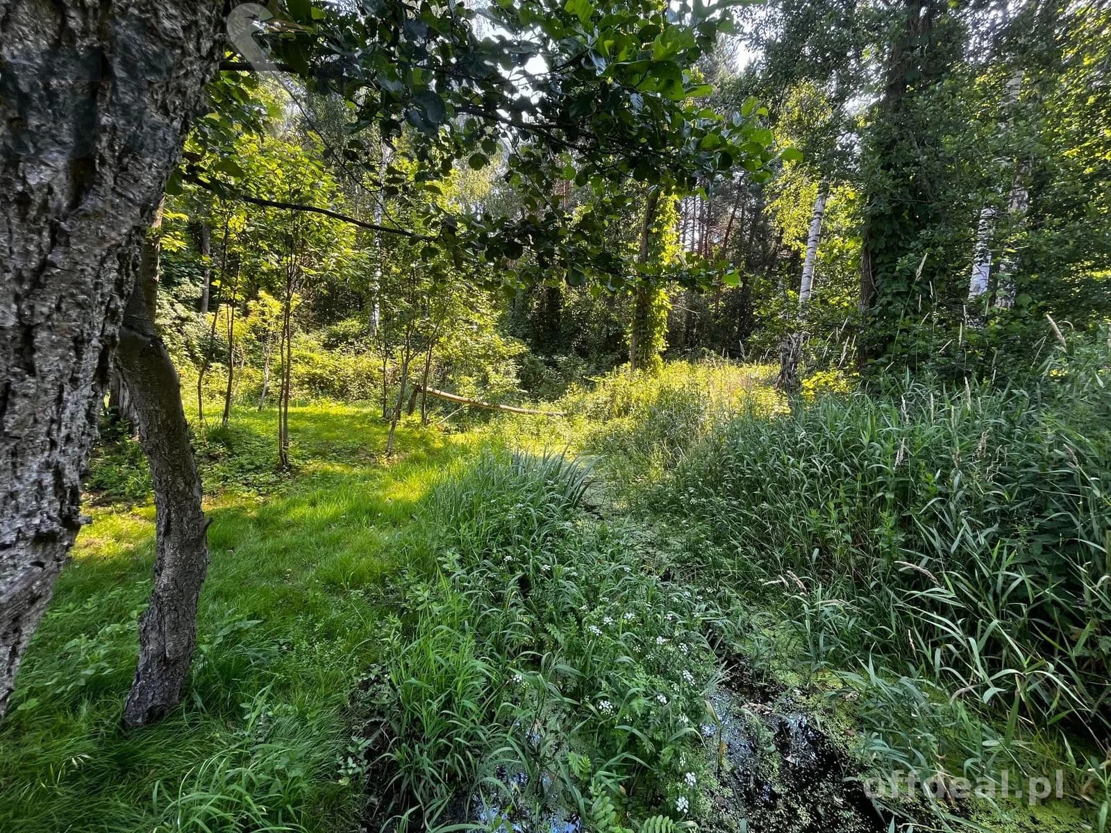 ділянка на продаж у Polesie | 9 400 m²