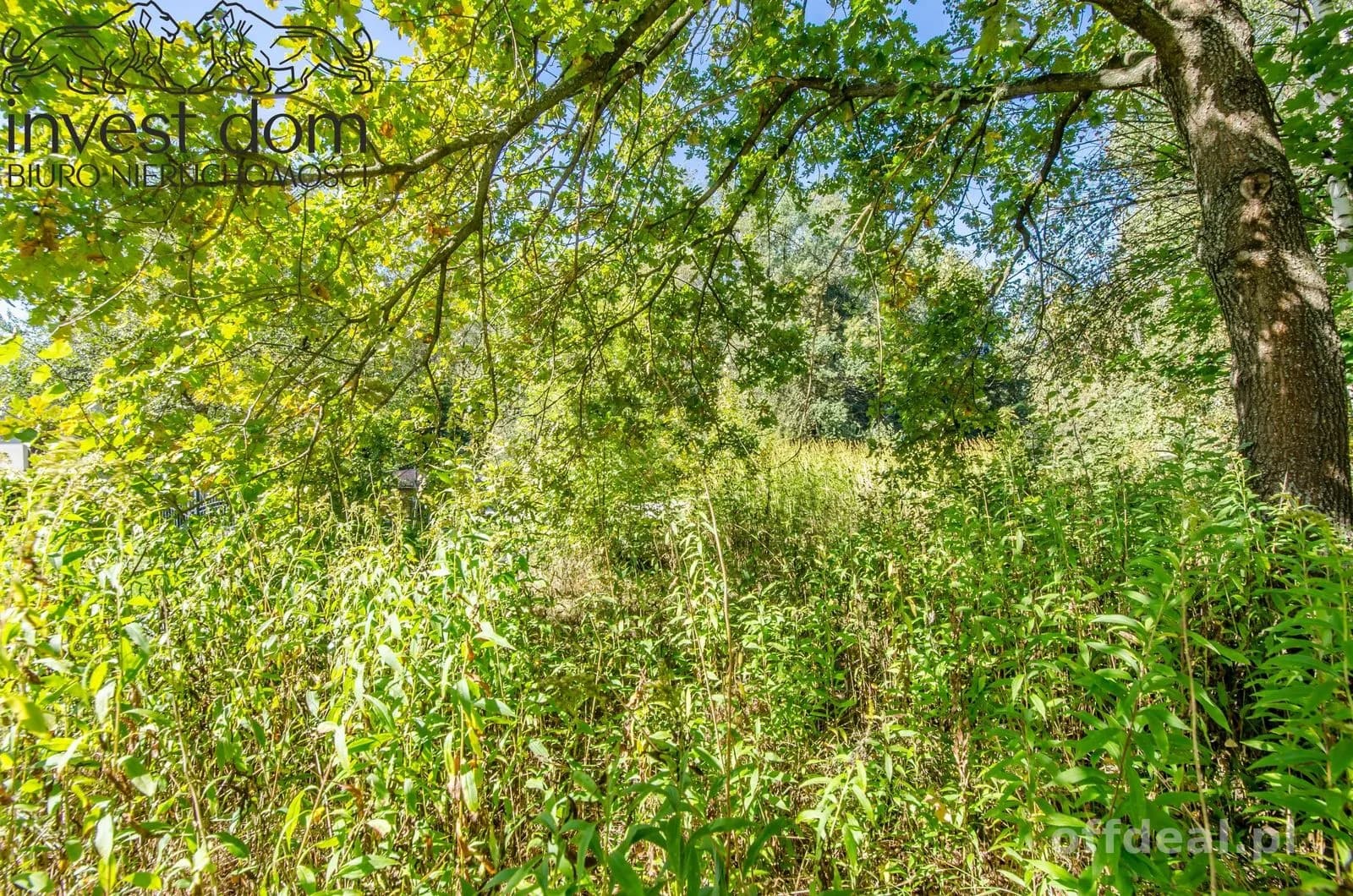 Zdjęcie 8: Działka, 5929 m², Libusza