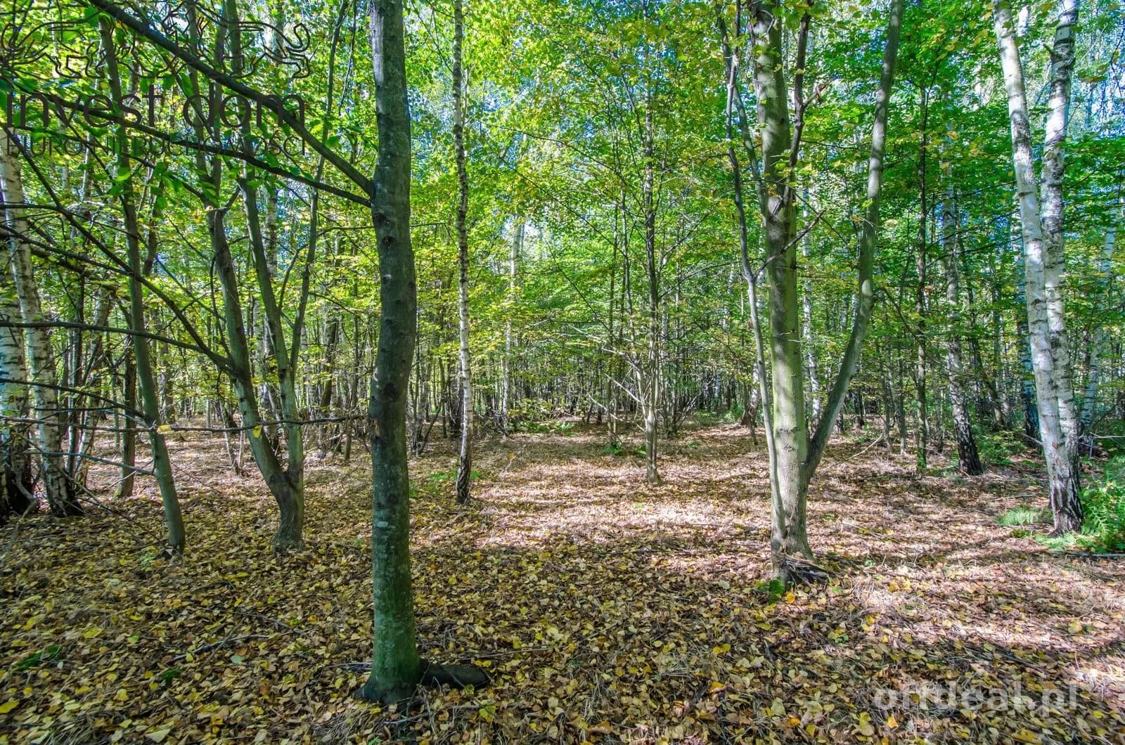 Zdjęcie 13: Działka, 5929 m², Libusza