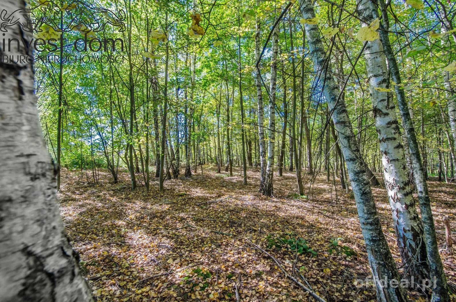 Zdjęcie 14: Działka, 5929 m², Libusza