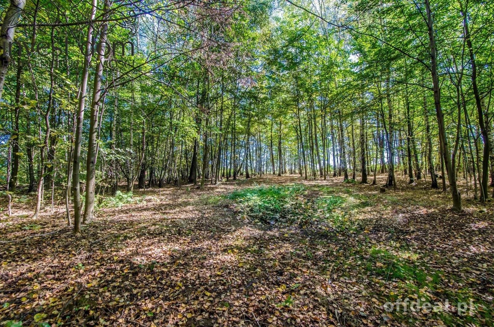 Zdjęcie 12: Działka, 5929 m², Libusza