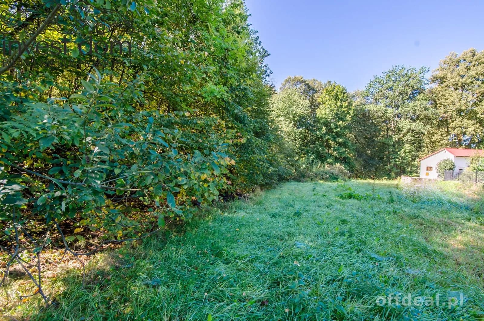 Zdjęcie 15: Działka, 5929 m², Libusza