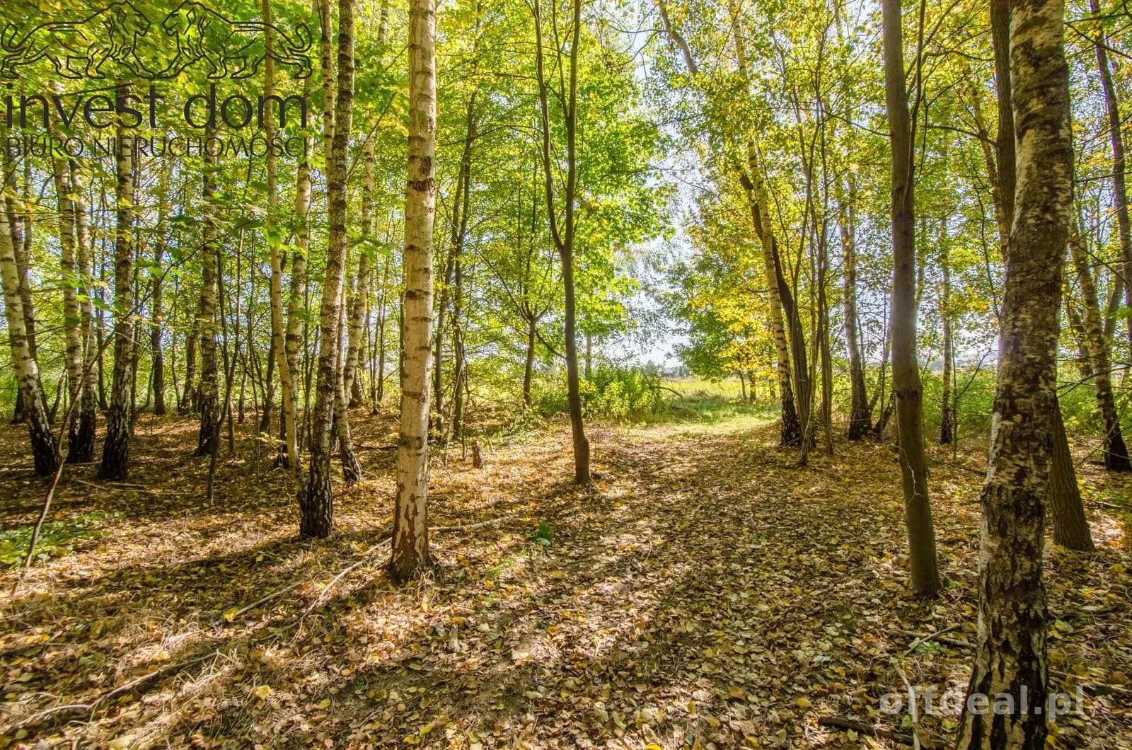 Zdjęcie 9: Działka, 5929 m², Libusza