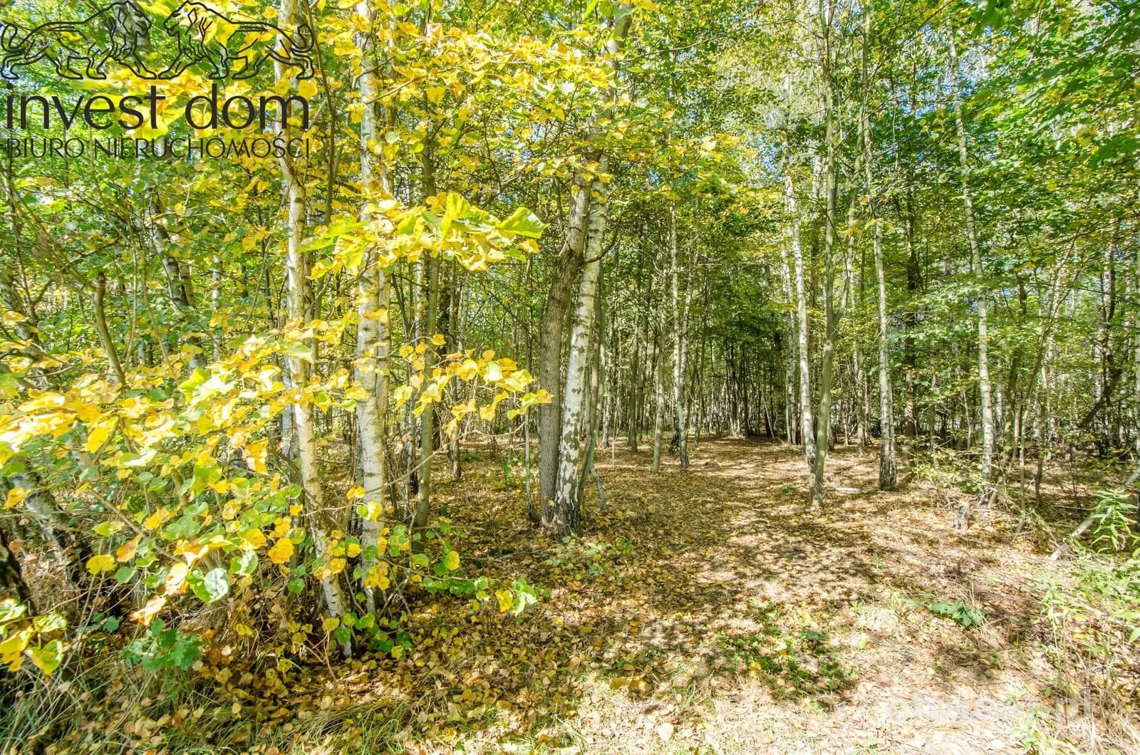 Zdjęcie 10: Działka, 5929 m², Libusza