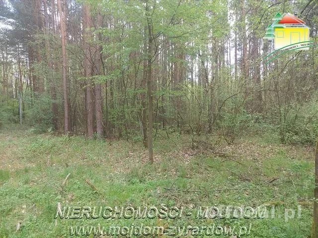 plot for sale in Olszanka | 4,020 m²