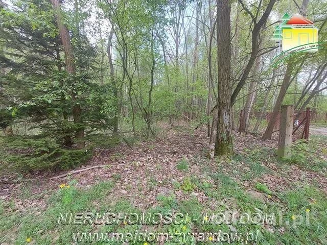 plot for sale in Olszanka | 4,020 m²