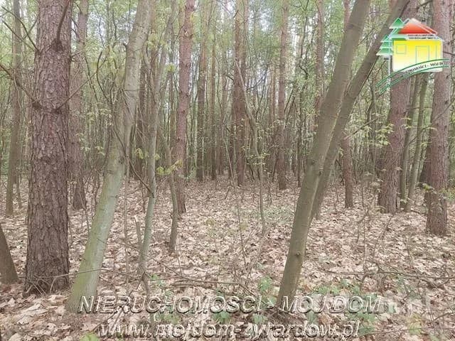 plot for sale in Olszanka | 4,020 m²