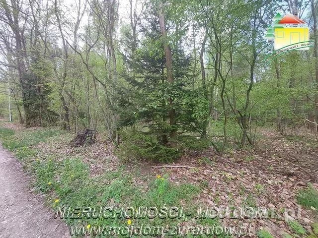 plot for sale in Olszanka | 4,020 m²