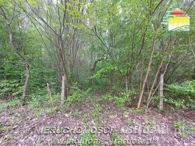 plot for sale in Olszanka | 4,020 m²