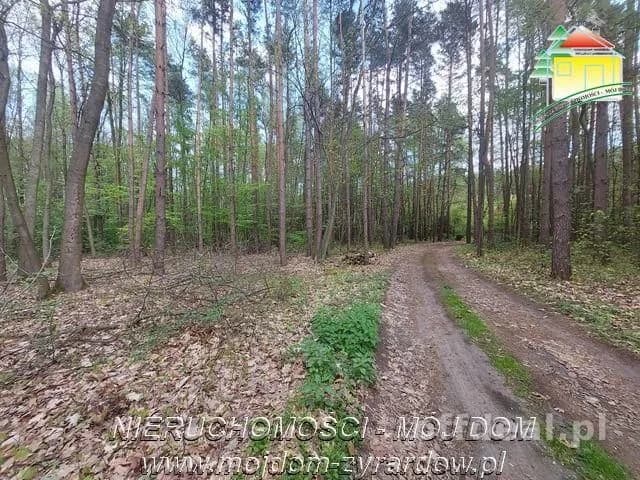 plot for sale in Olszanka | 4,020 m²