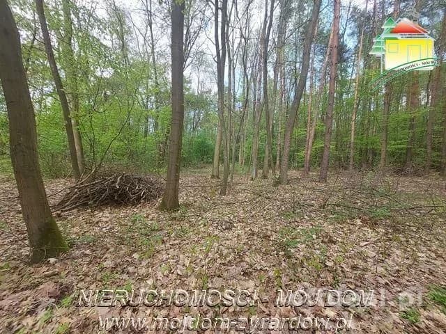 plot for sale in Olszanka | 4,020 m²