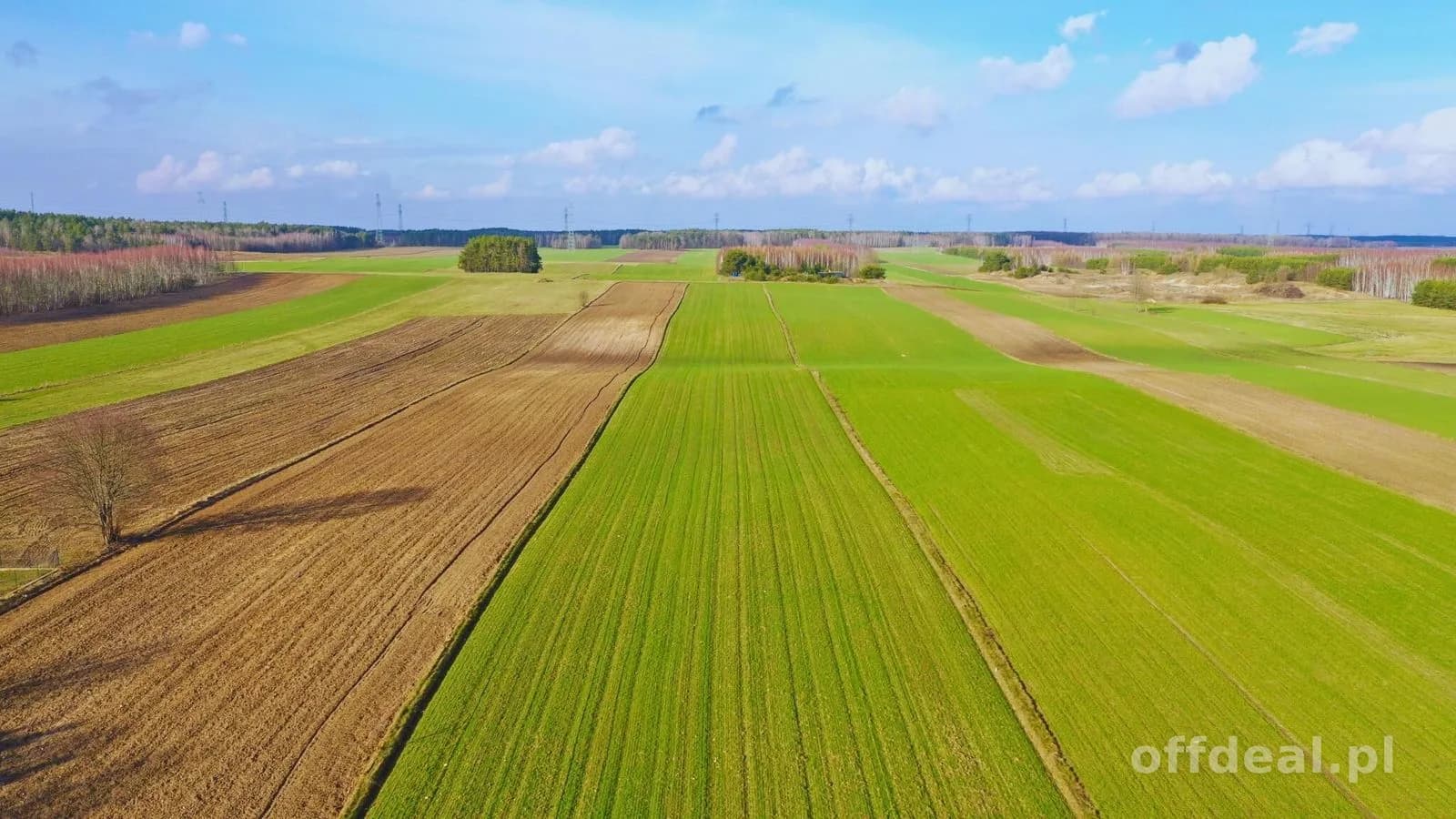 Działki budowlane w atrakcyjnej cenie blisko Łomży