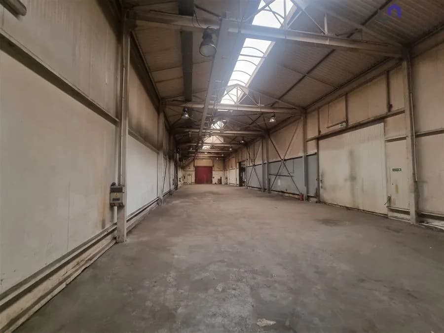 Lokal na wynajem, Ruda Śląska