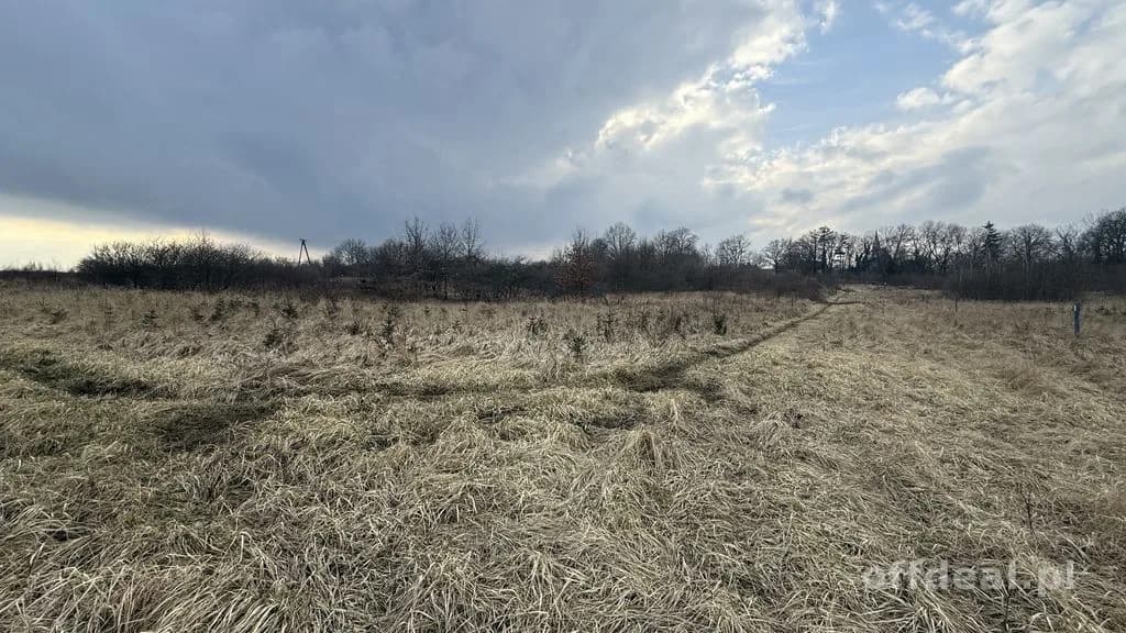 Warunki zabudowy, prąd, woda.