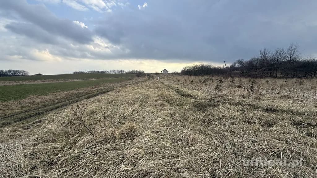 Warunki zabudowy, prąd, woda.