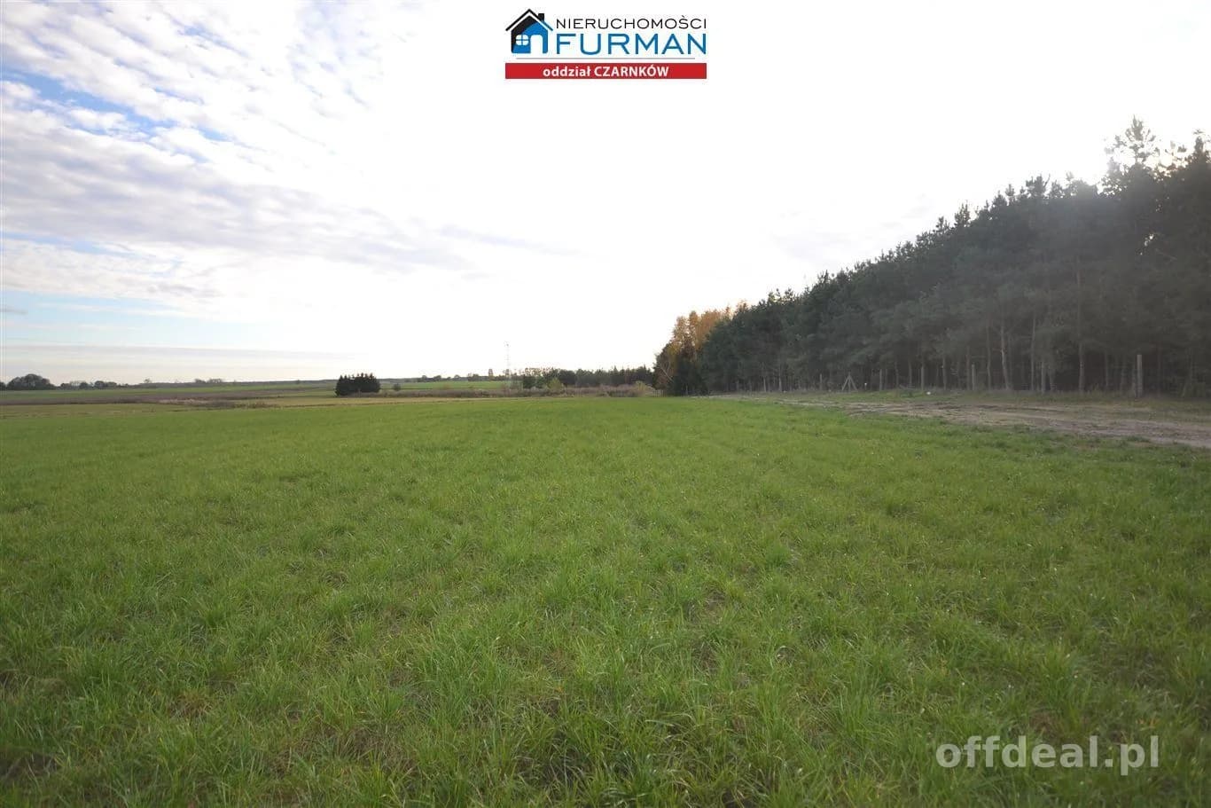 terrain à vendre à Lubasz | 33 856 m²