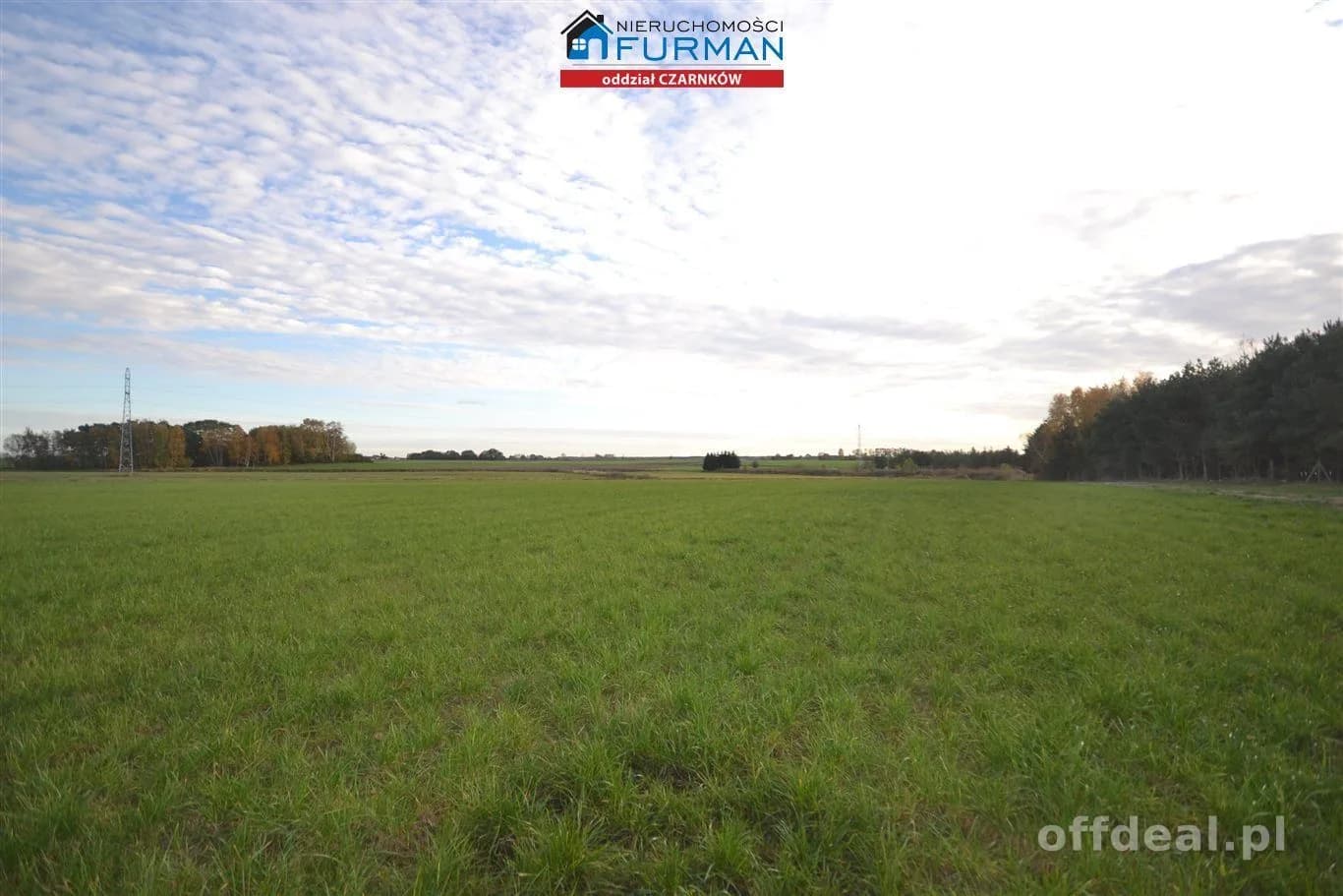 terrain à vendre à Lubasz | 33 856 m²