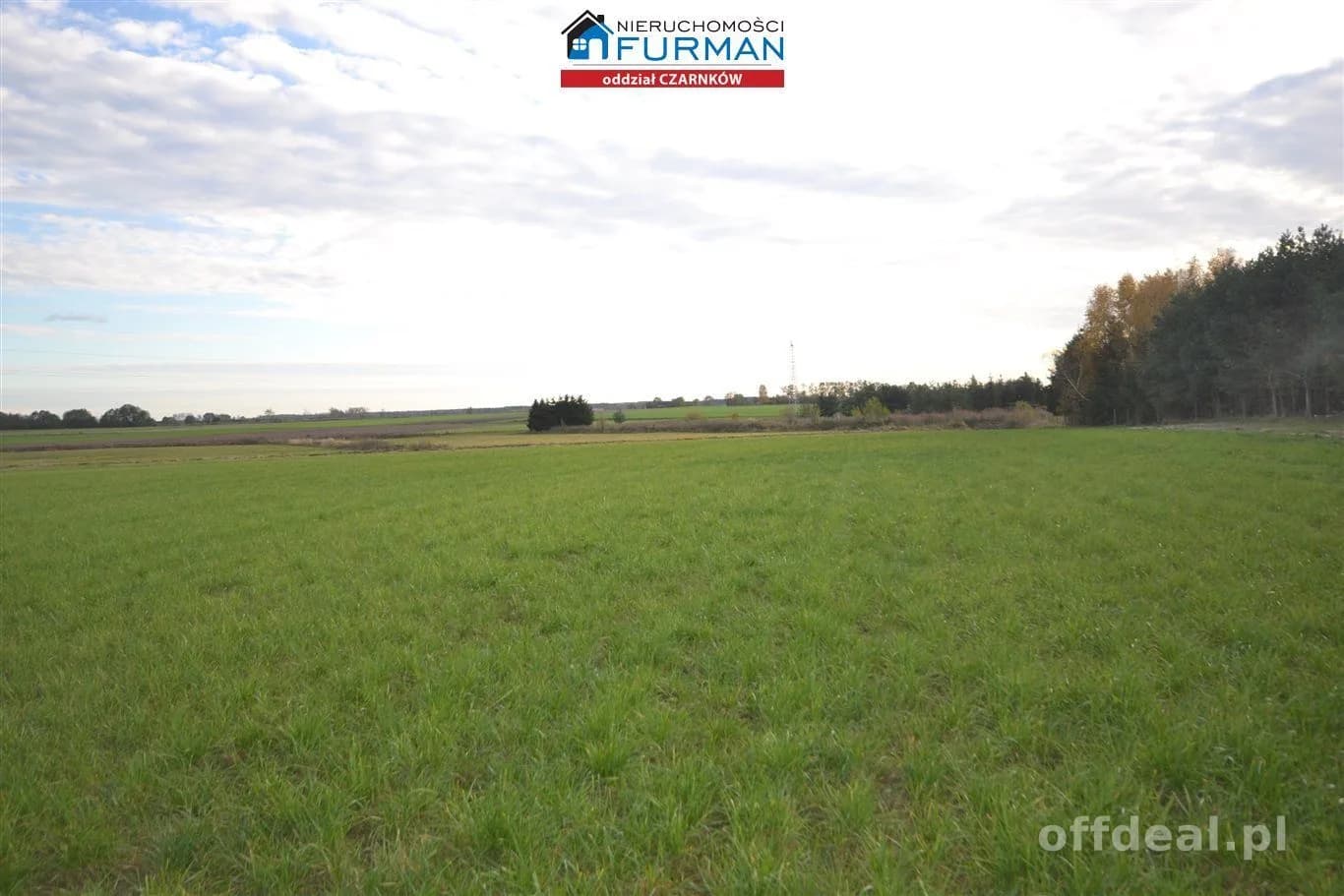 terrain à vendre à Lubasz | 33 856 m²