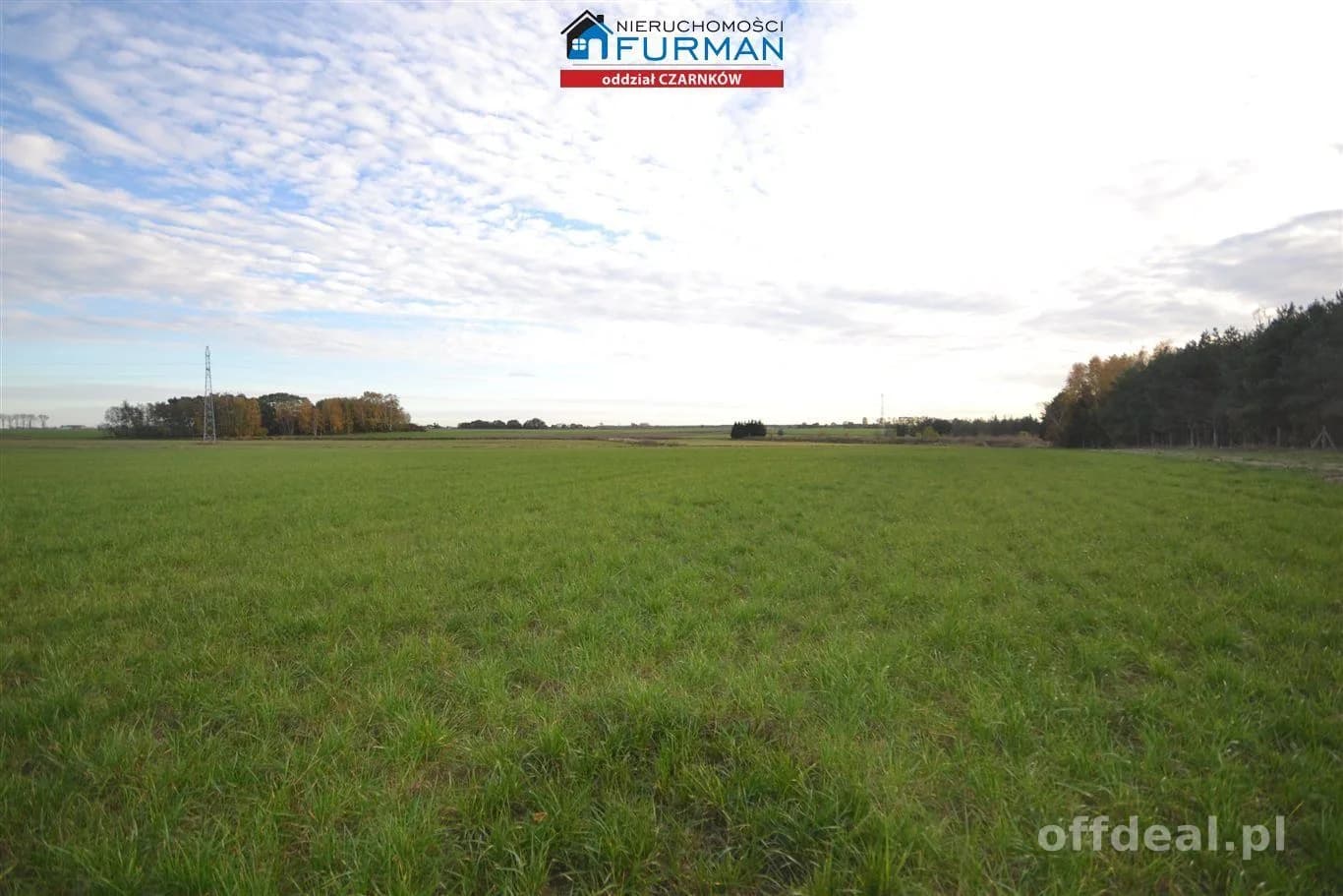 terrain à vendre à Lubasz | 33 856 m²