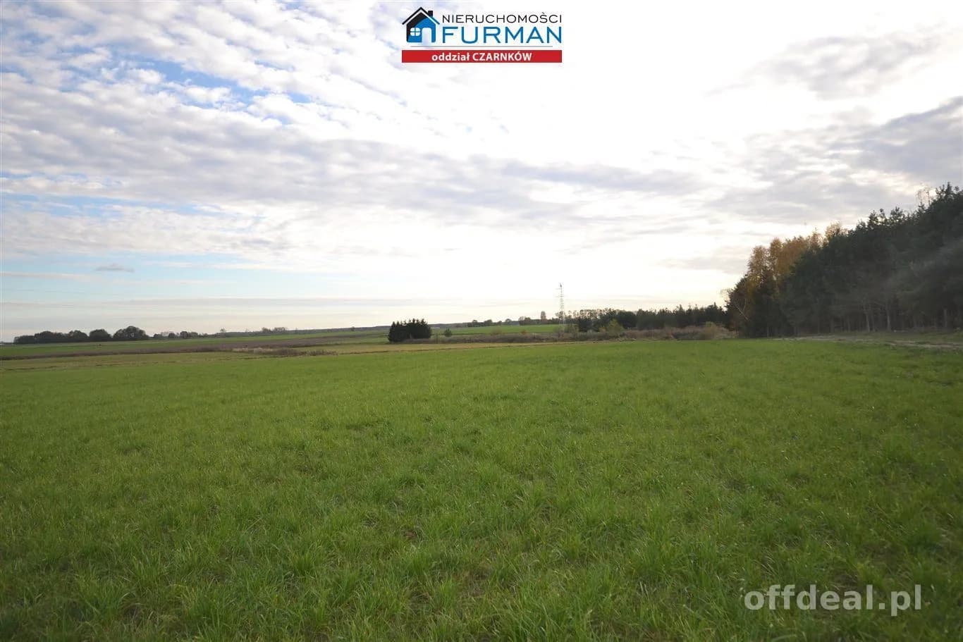 terrain à vendre à Lubasz | 33 856 m²