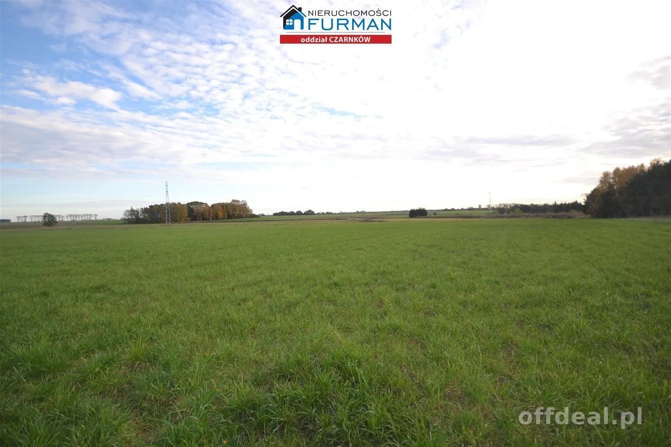 terrain à vendre à Lubasz | 33 856 m²