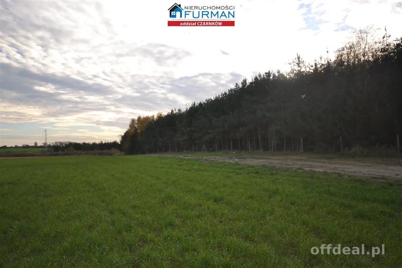 terrain à vendre à Lubasz | 33 856 m²