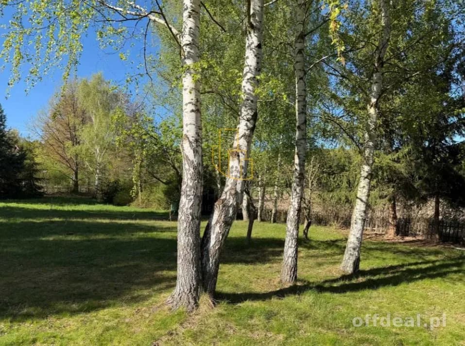 Photo 7: Terrain, Sulistrowiczki