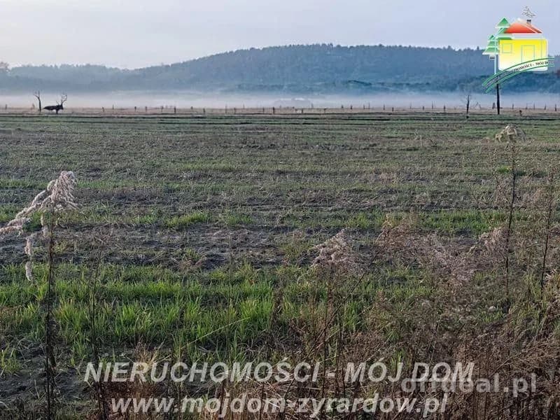plot for sale in Korytów | 1,250 m²