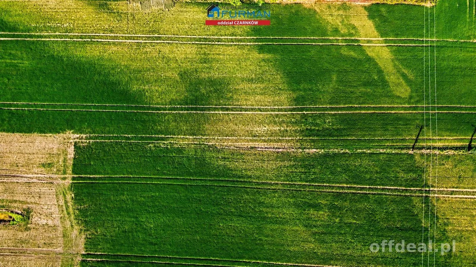 terrain à vendre à Czarnków | 17 343 m²
