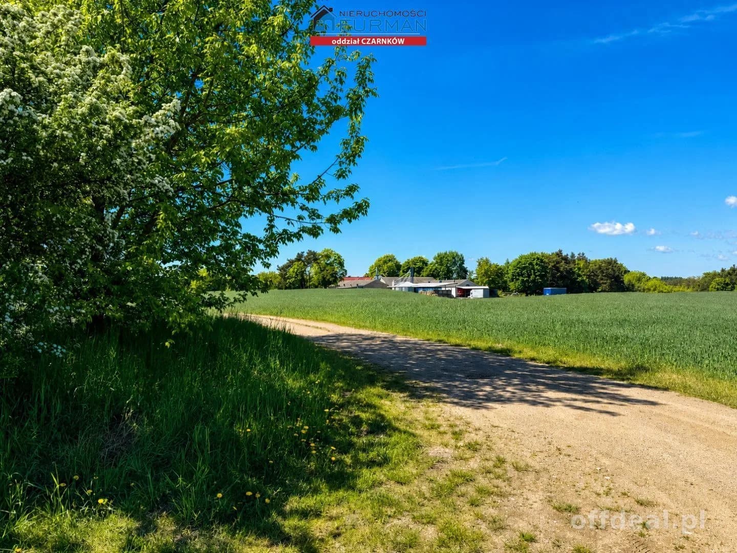 terrain à vendre à Czarnków | 17 343 m²