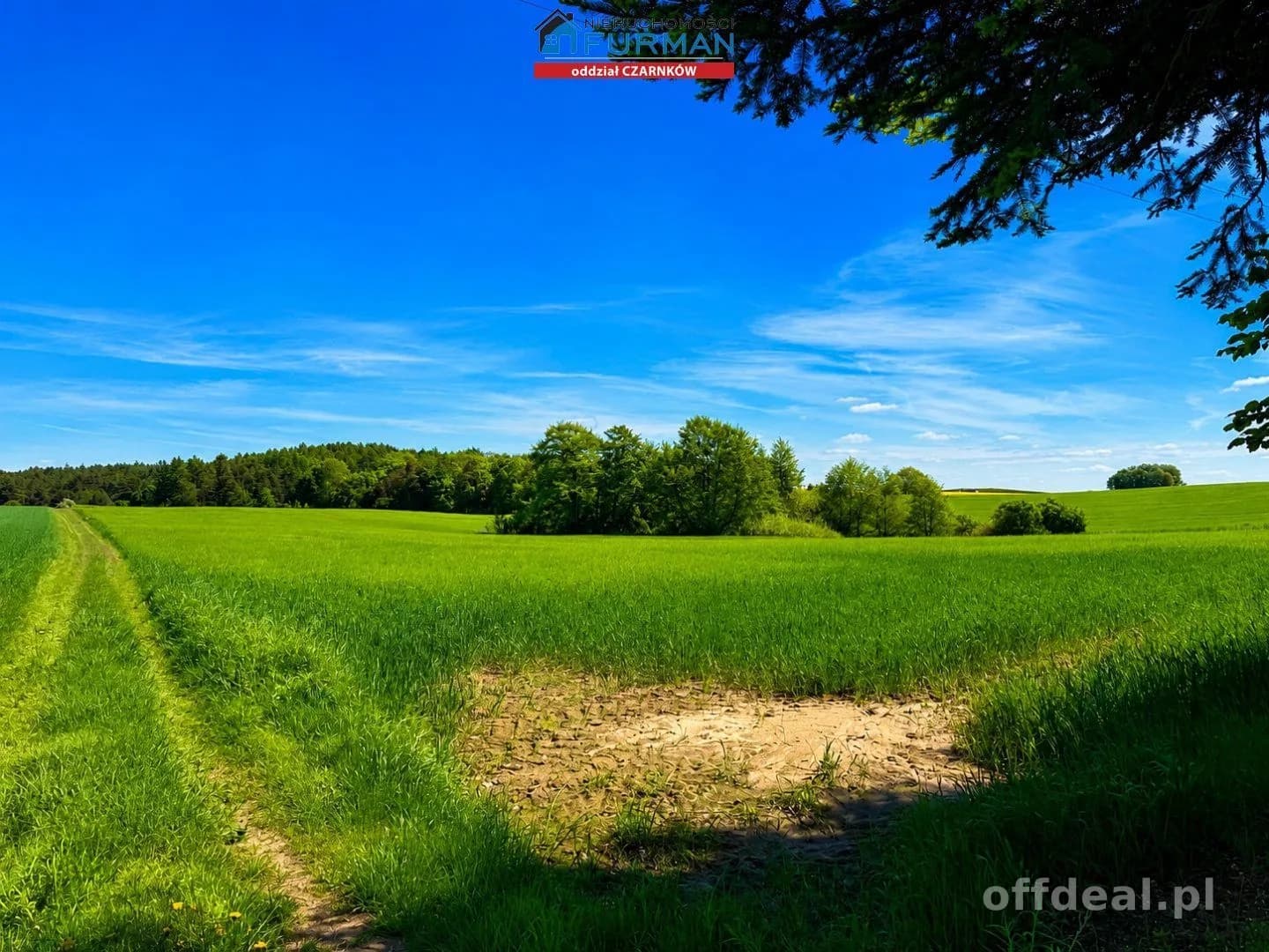 terrain à vendre à Czarnków | 17 343 m²