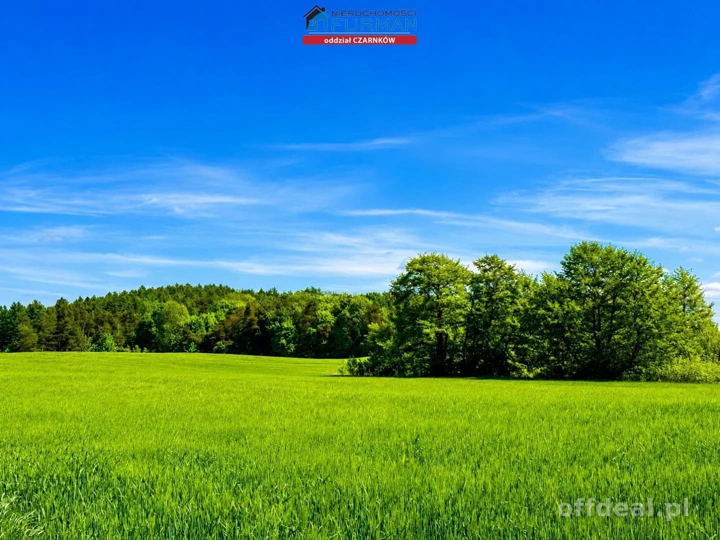 terrain à vendre à Czarnków | 17 343 m²