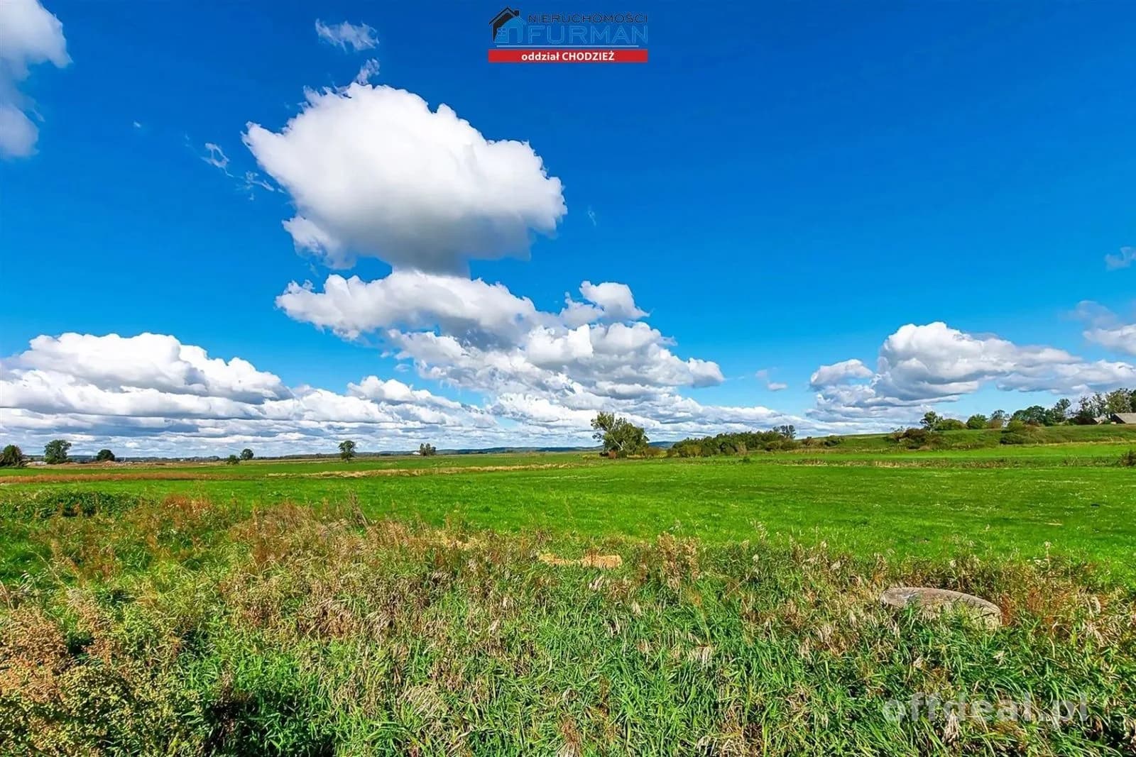 Zdjęcie 9: Działka, 962 m², Strzelce