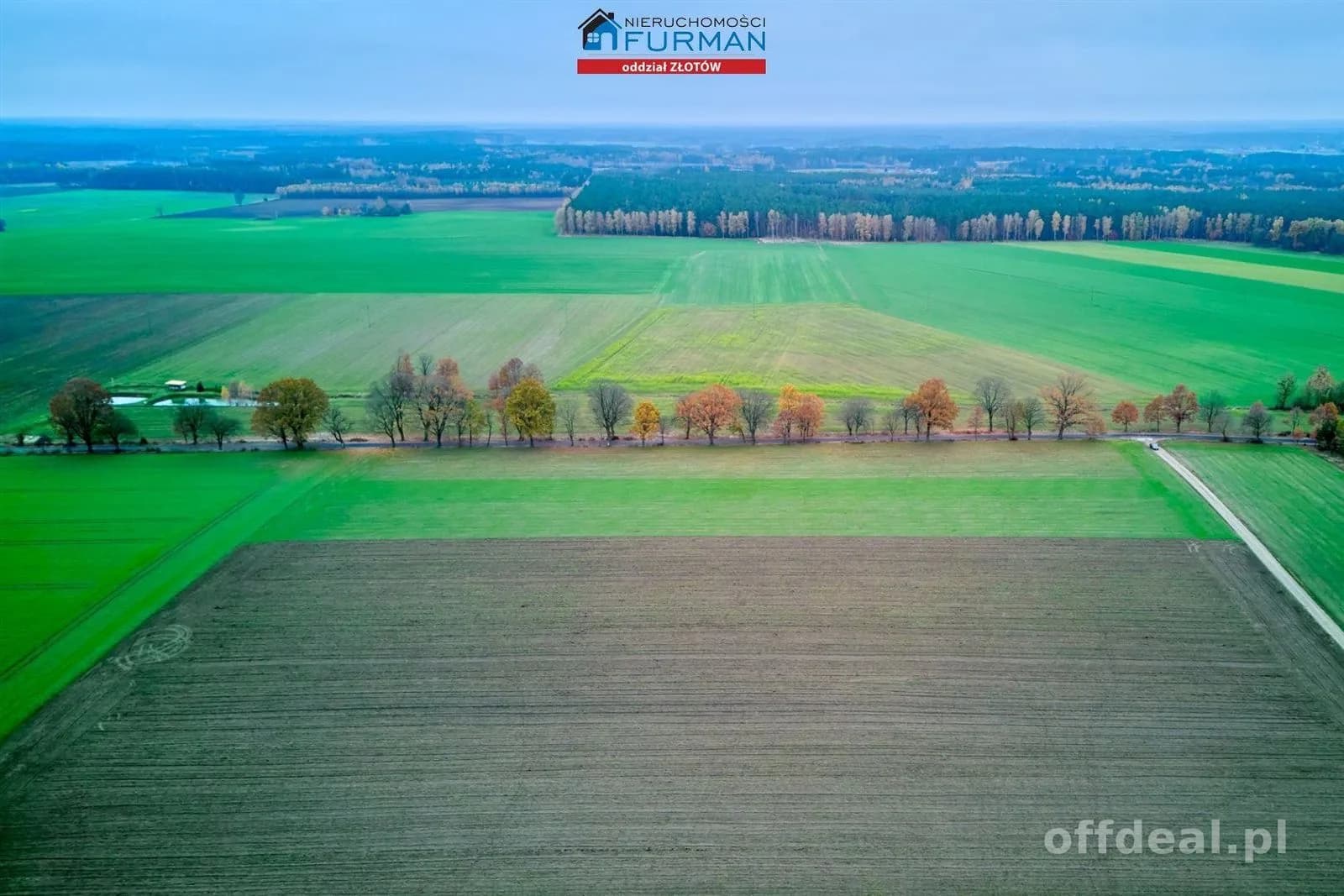 terrain à vendre à Mały Buczek | 1 077 m²
