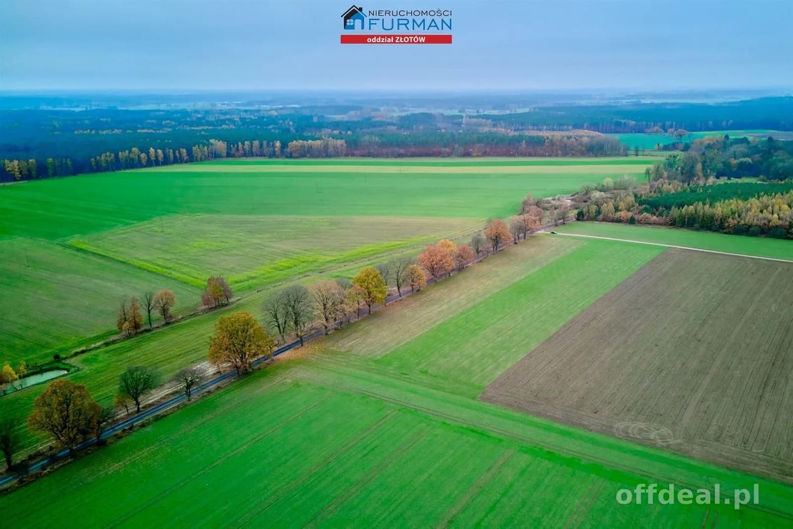terrain à vendre à Mały Buczek | 1 077 m²