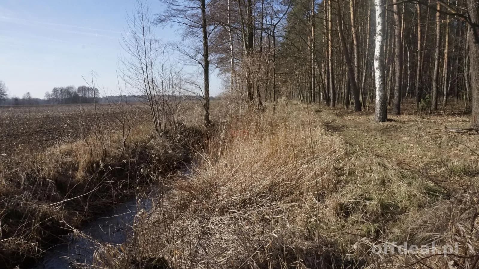 Wyjątkowa działka pod Wrocławiem!