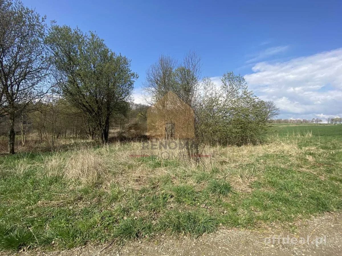 terrain à vendre à Kłodzko | 3 000 m²