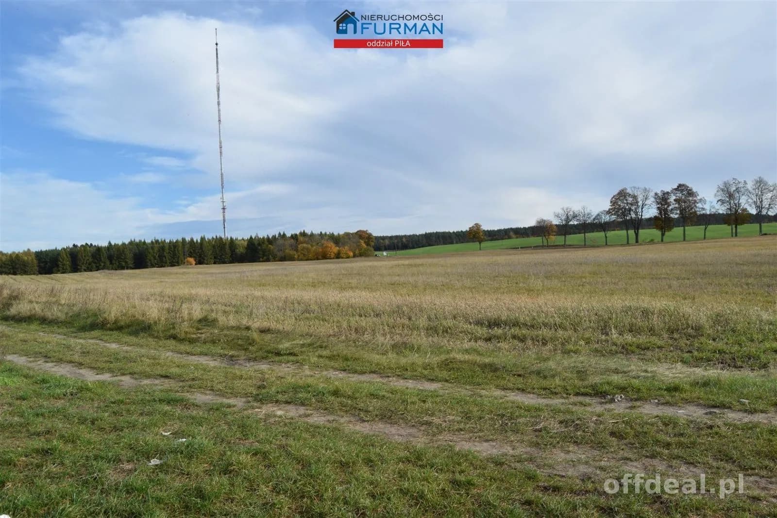 Foto 3: Grundstück, 96206 m², Rusinowo