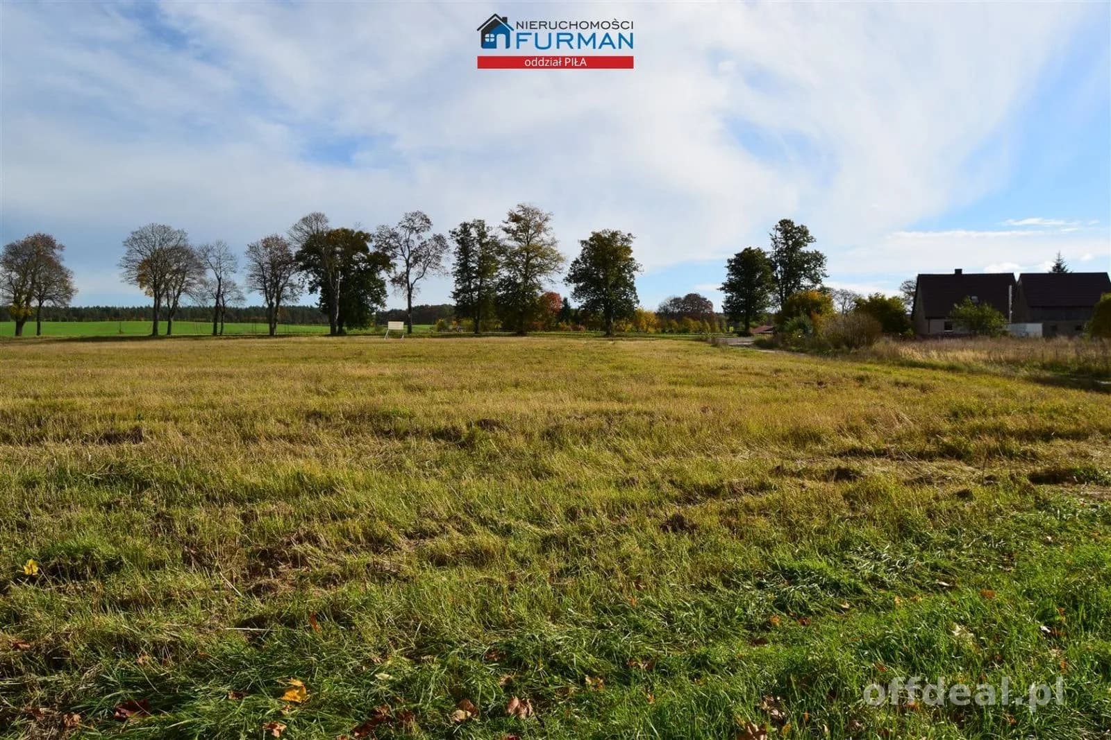 Foto 2: Grundstück, 96206 m², Rusinowo